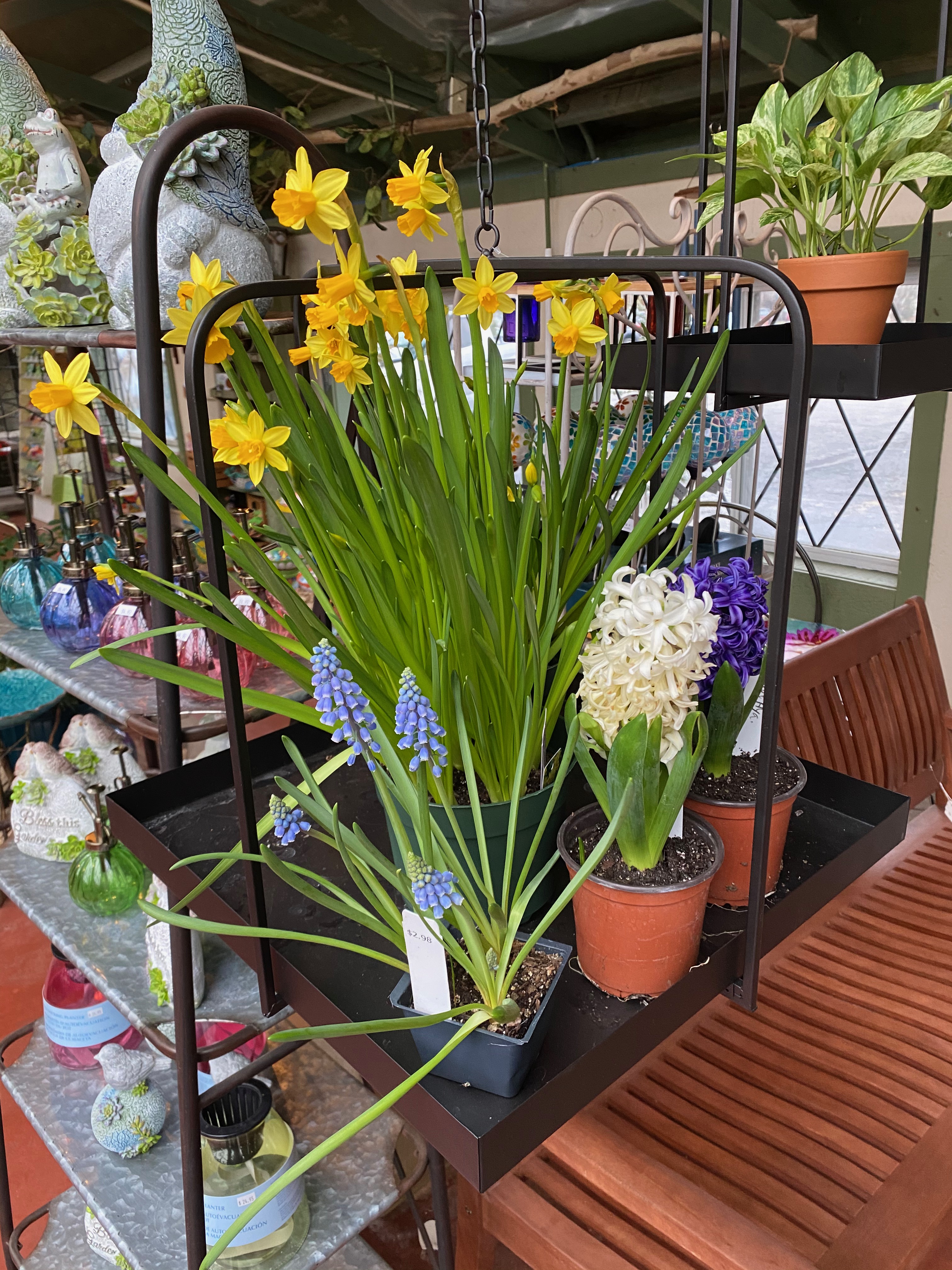 Springfield MO Garden Center & Nursery