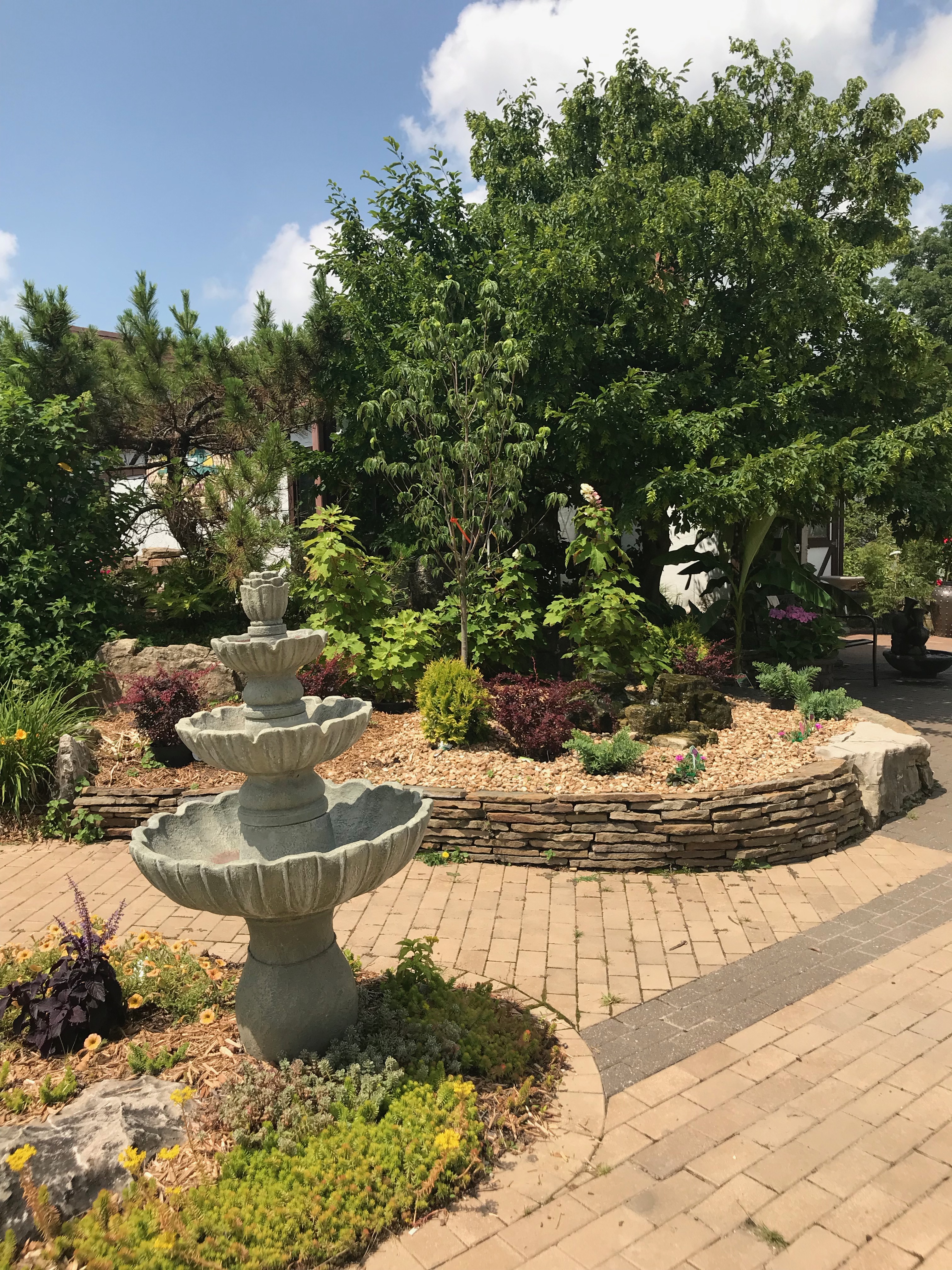 Springfield MO Garden Center & Nursery