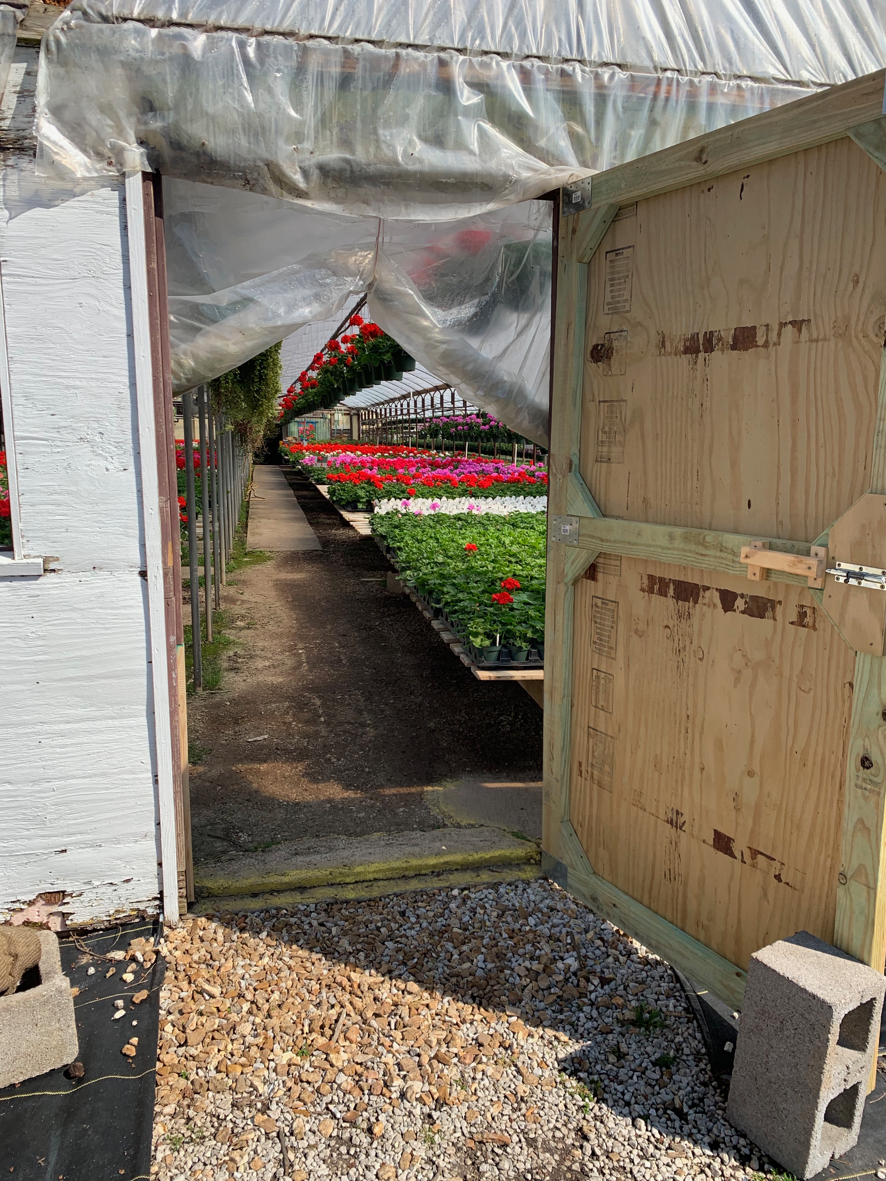 Springfield MO Garden Center & Nursery