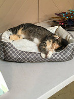 IMG_5036.jpeg