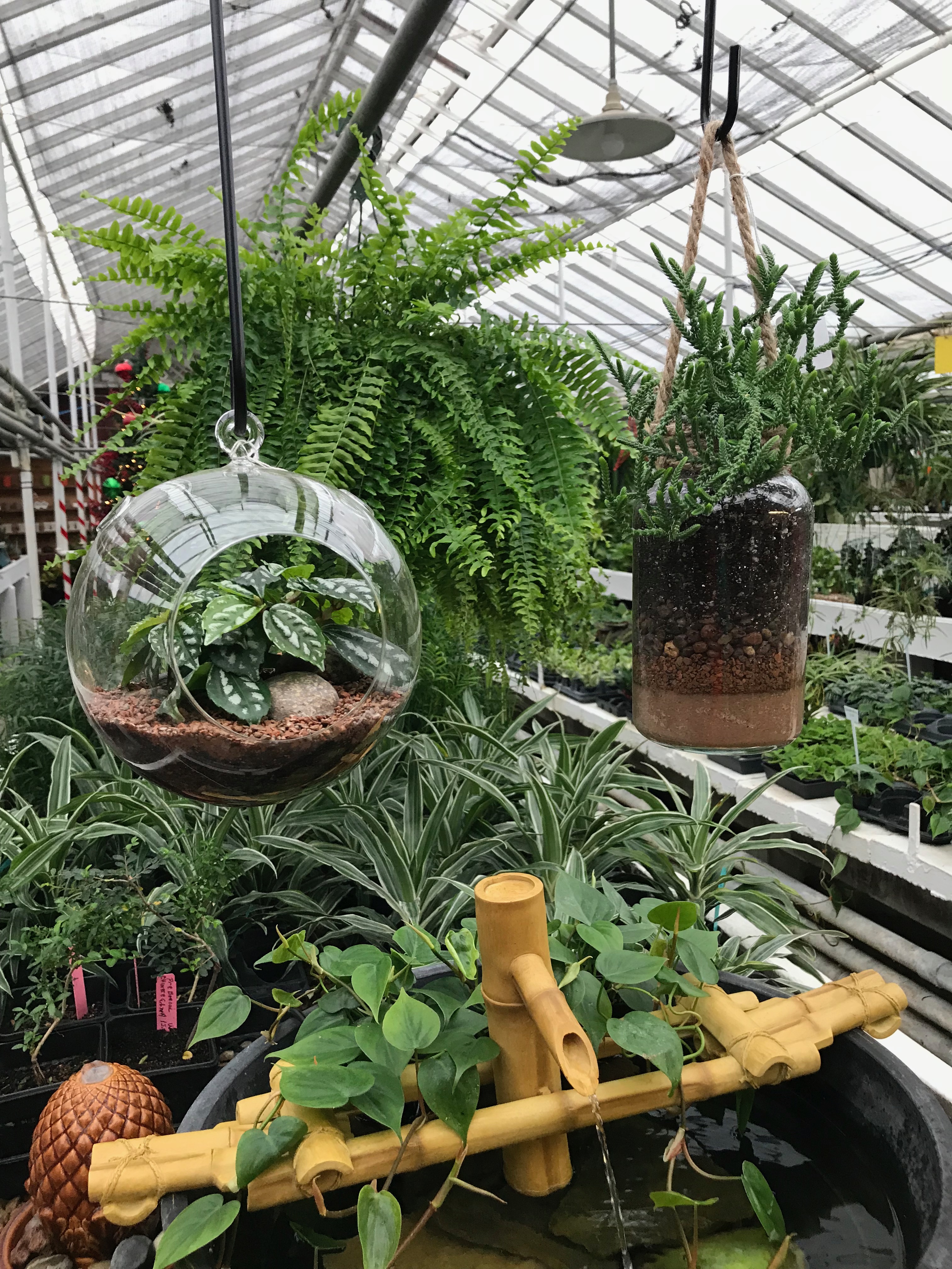Springfield MO Garden Center & Nursery