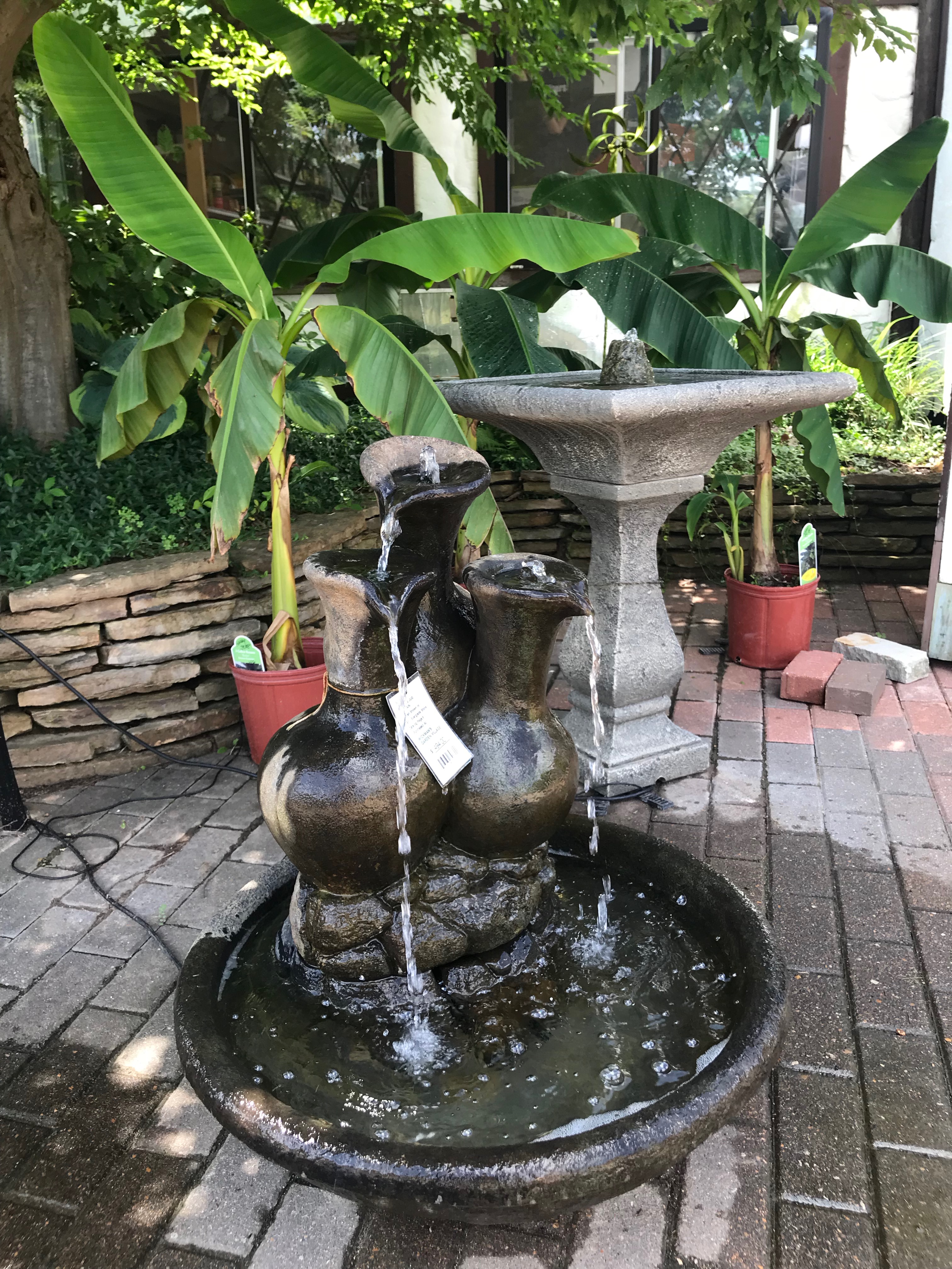 Springfield MO Garden Center & Nursery