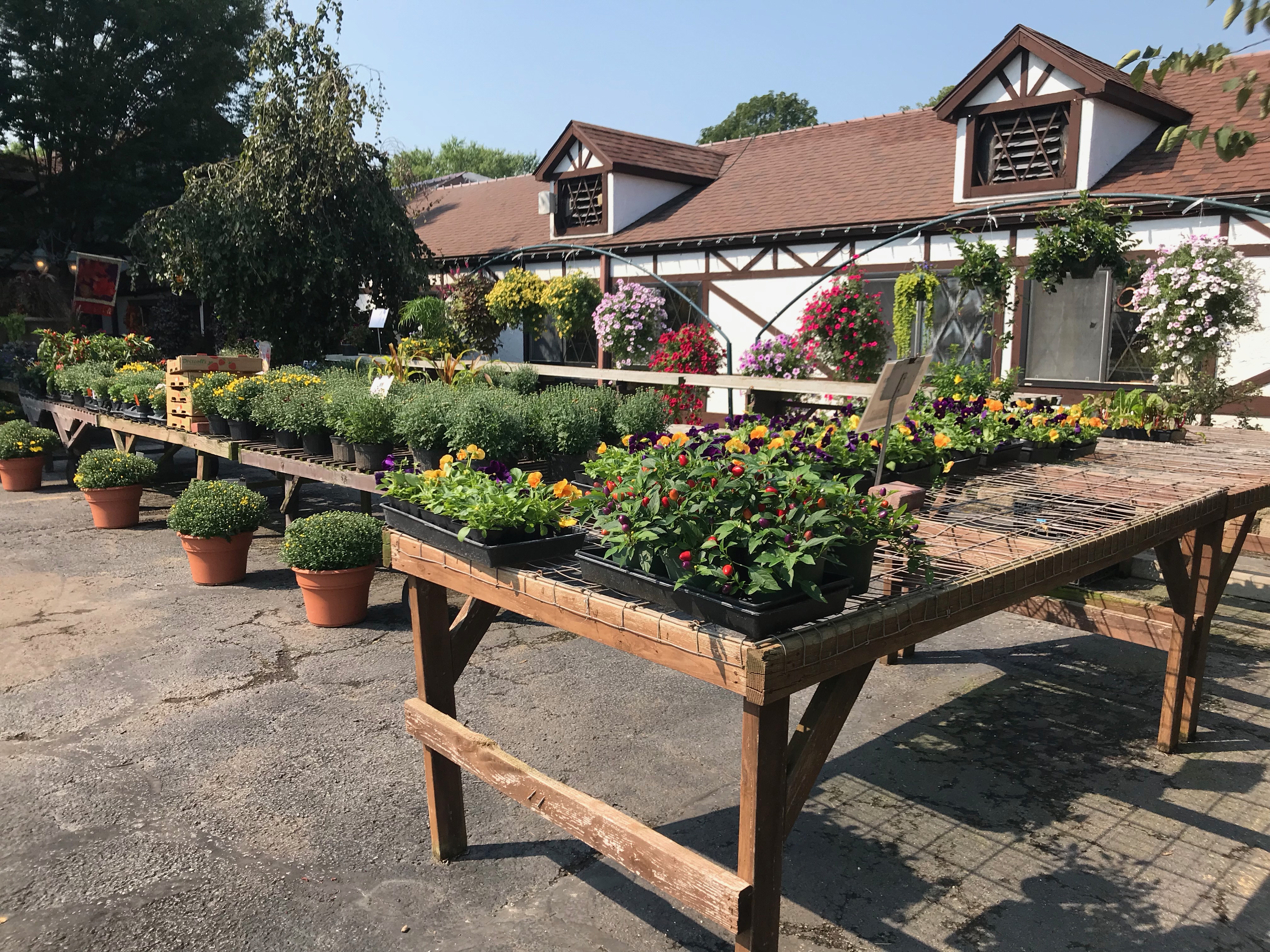 Springfield MO Garden Center & Nursery