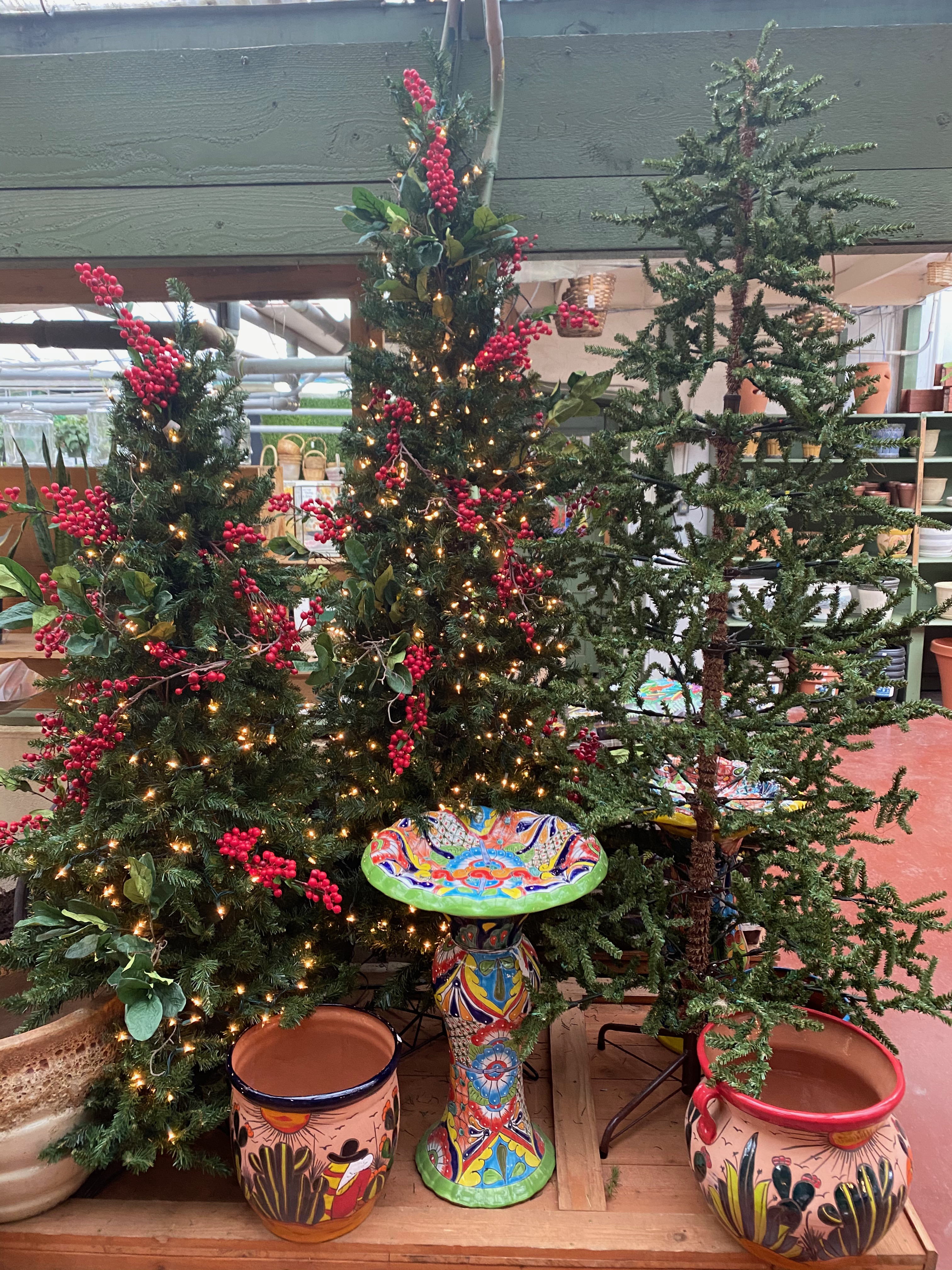 Springfield MO Garden Center & Nursery