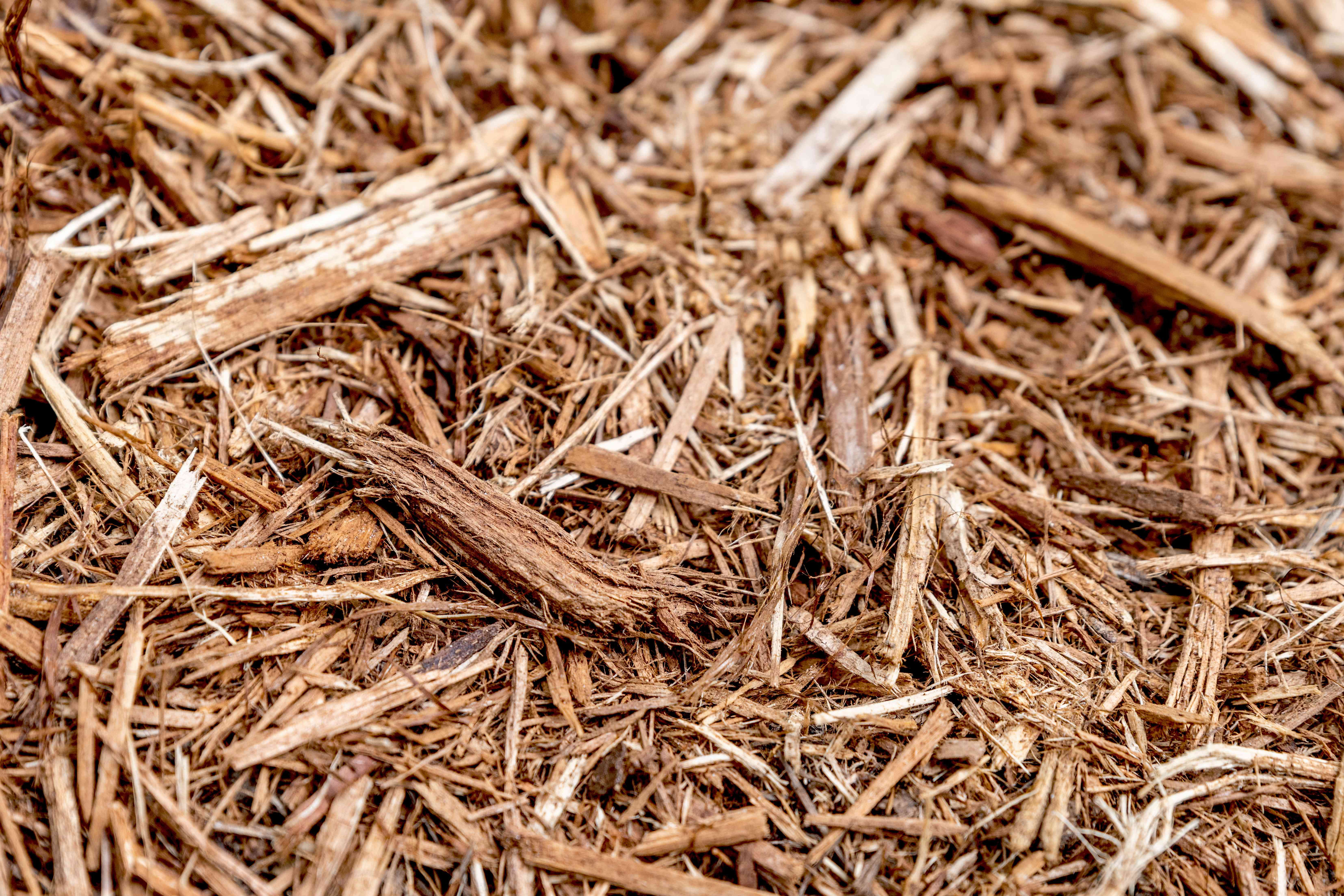 Cypress Mulch
