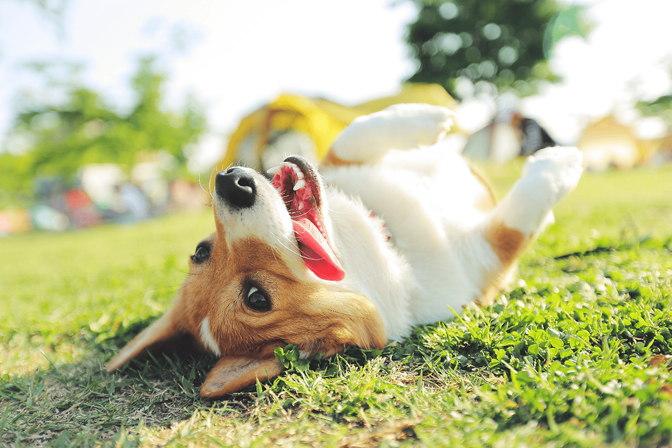 FOTOS-BLOG-13-1.png