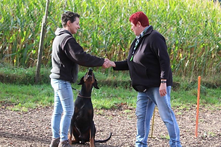 Training Hundeschule ändu.png