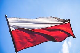 flag-g4e9bcc172_1280.jpg