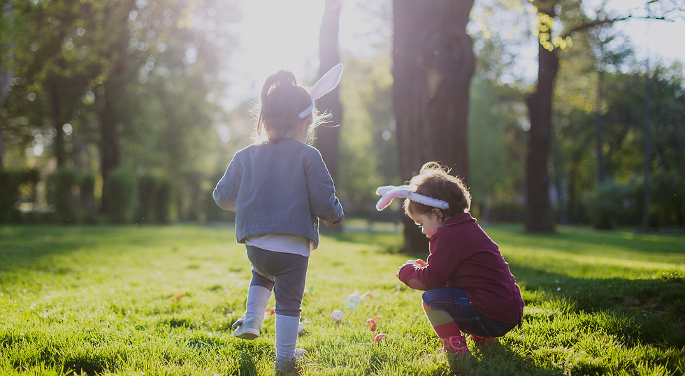 bunnies-iStock-852115950-2048x1365.png