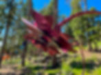 steel and aluminum overhead flower sculpture