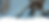 About Us Header Image.png