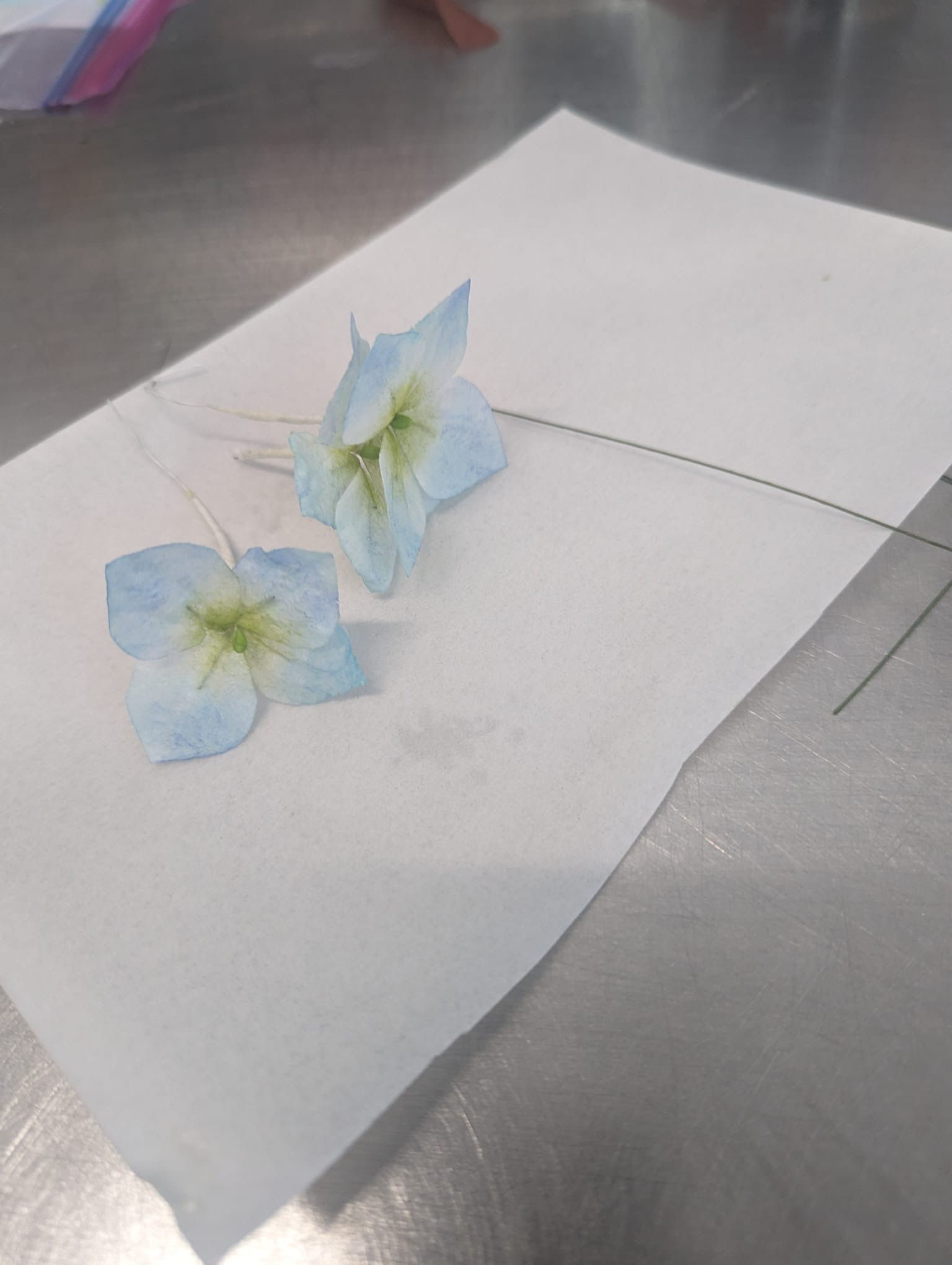 The Return of Persephone. Vote for the People's Choice