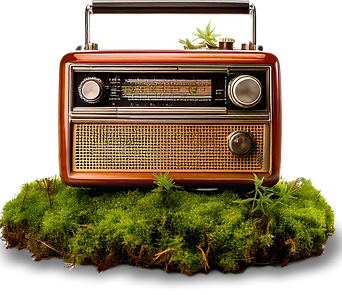 radio.png