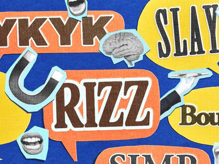 Memes Become a New Form of Language