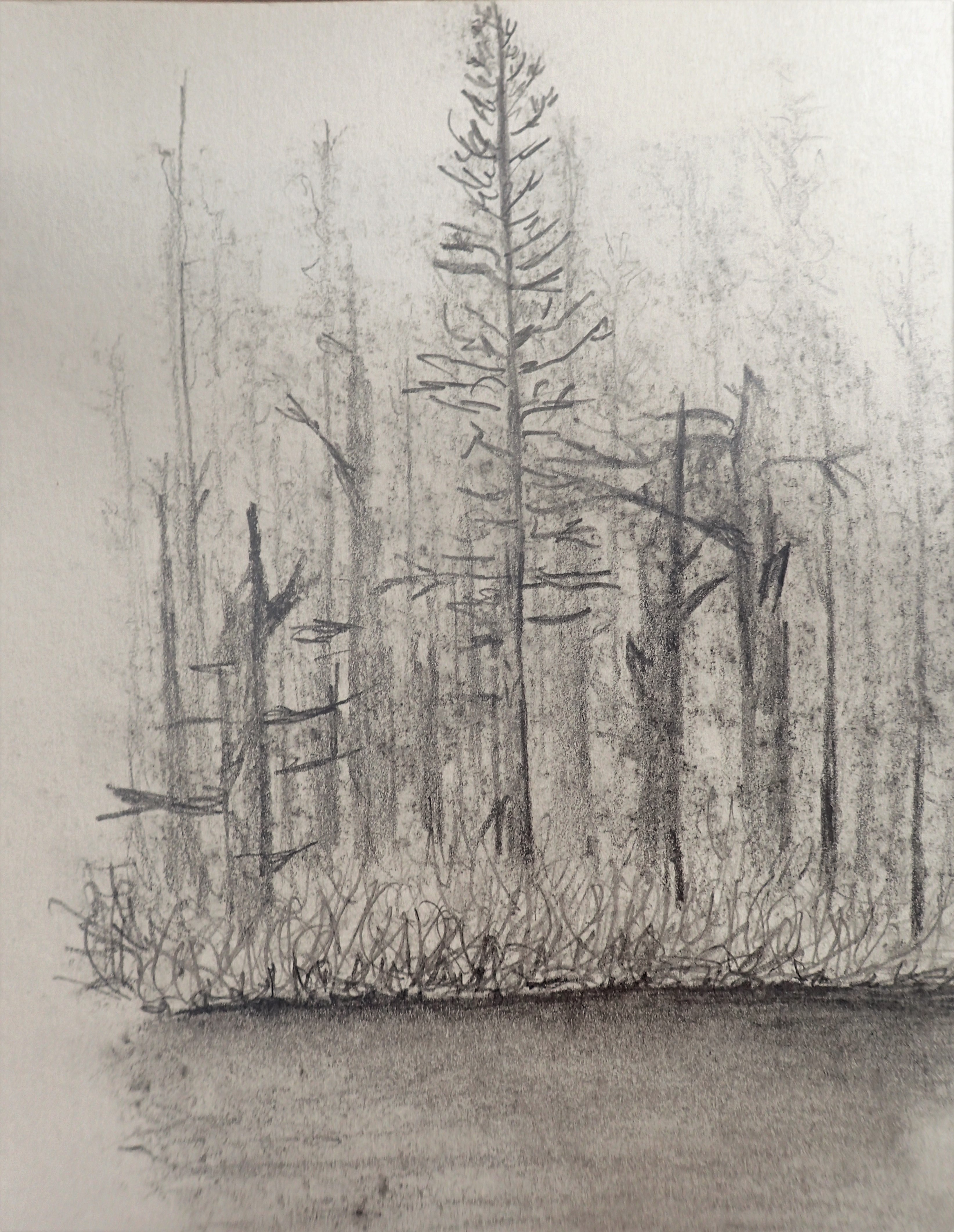 graphite study shoreline