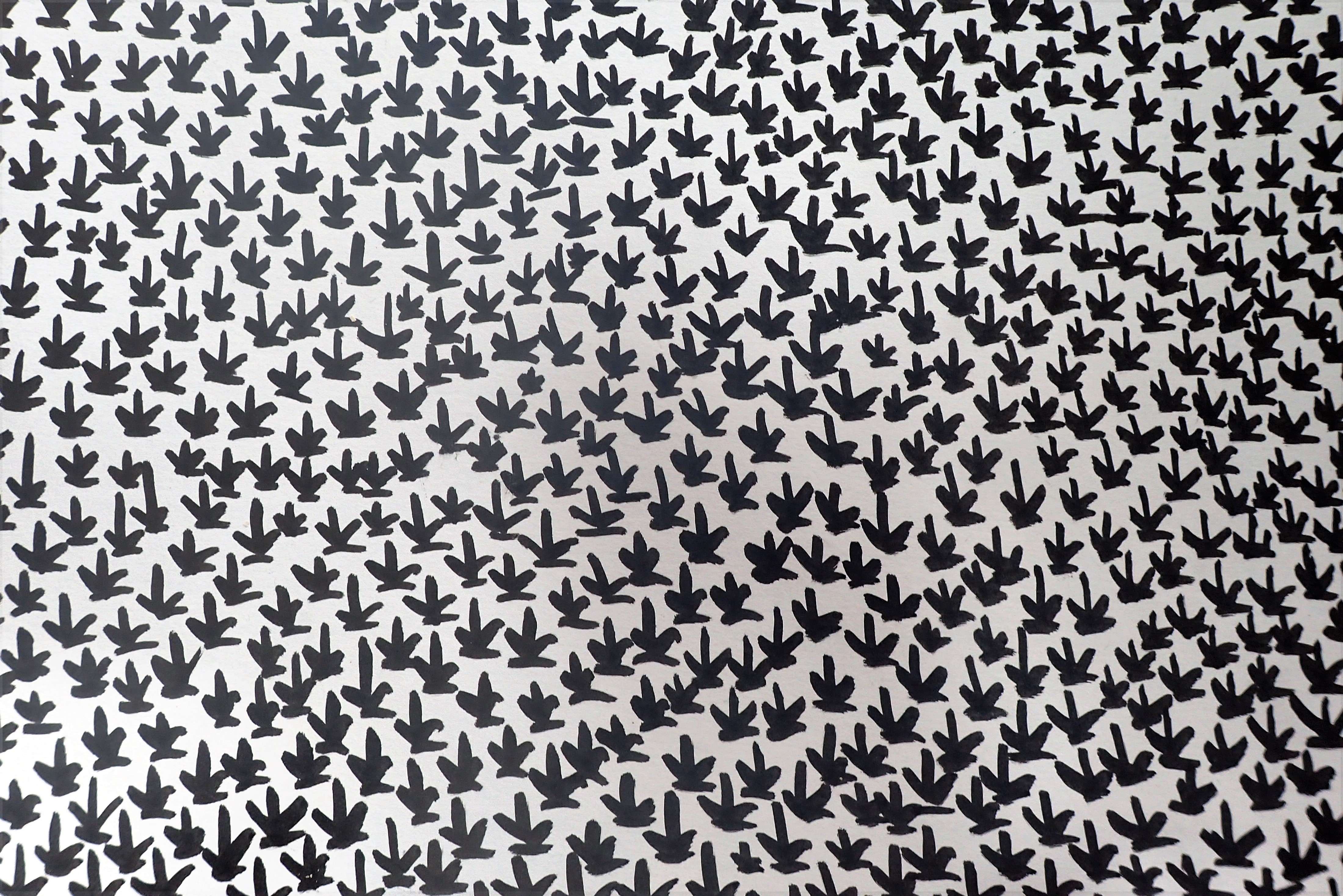 pattern study