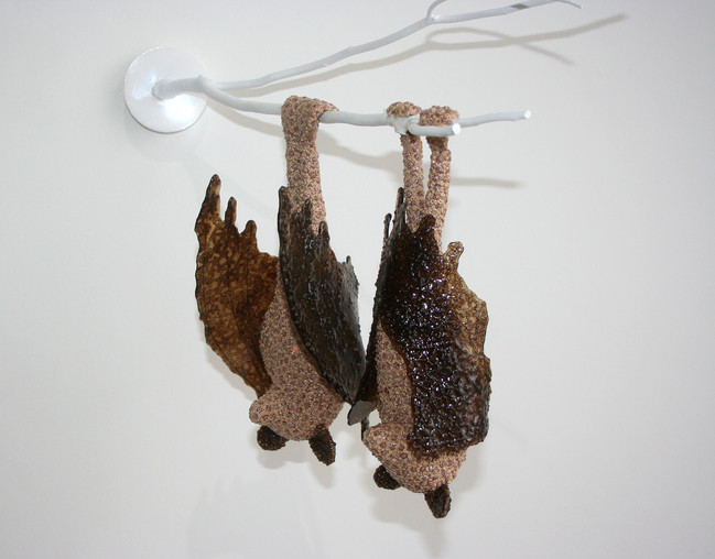 COHABITATE (male and female pair)