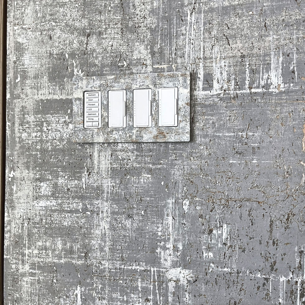 hand painted switch plate fascia