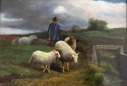 Herder met kudde schapen