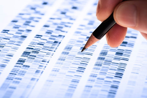 Scientist analyzes DNA gel used in genetics, forensics, drug discovery, biology and medici
