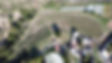 Vista aerea cultivo.jpeg