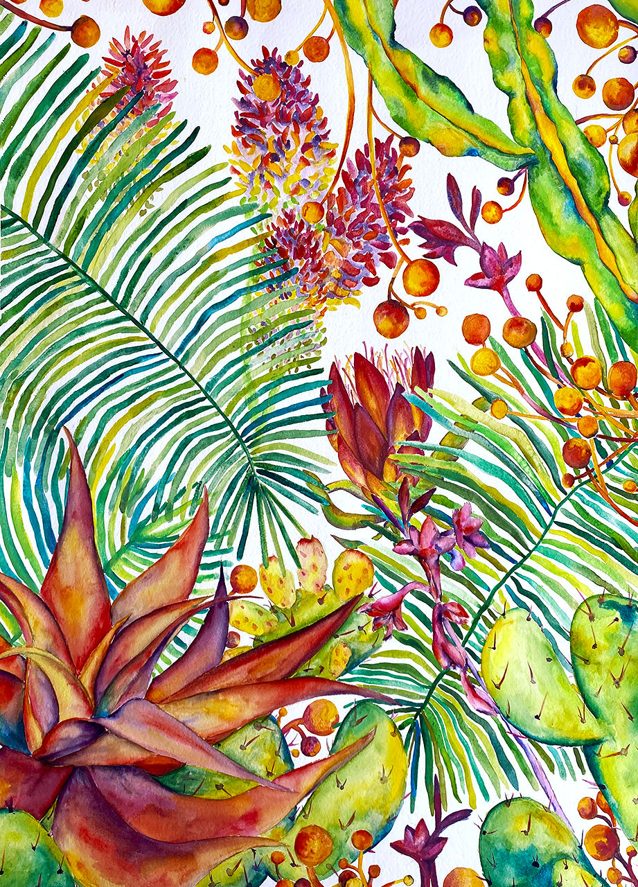 South African Plants