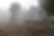 Justice Robert Hope Park sign in mist 2024 - JH.jpg
