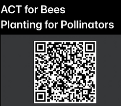 ACT For Bees QR.png