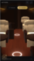 Airplane customization