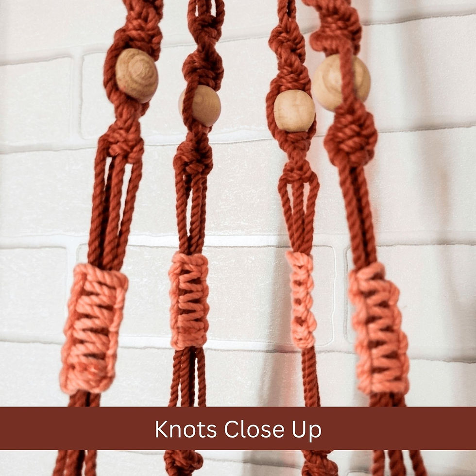 Thumbnail: Aasri Living Dual Color Terra Harvest Macrame Plant Hanger Value Bundle Knots Close Up