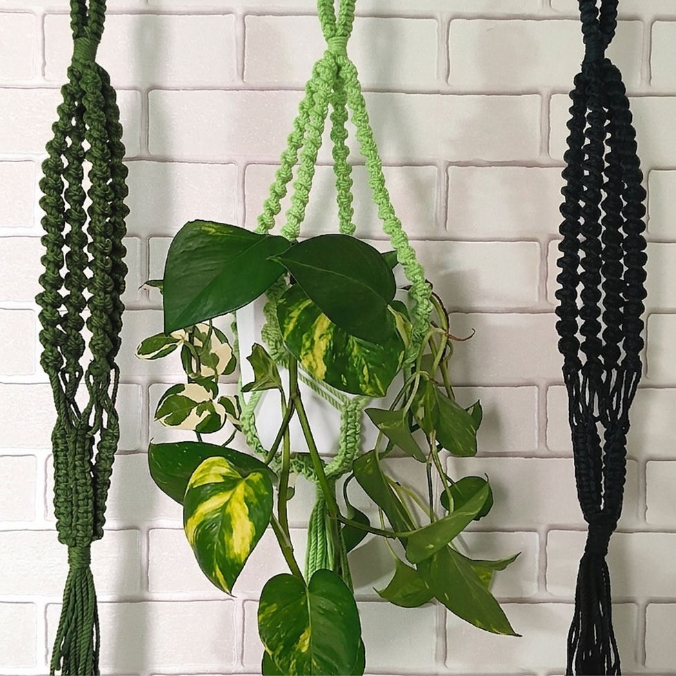 Thumbnail: Aasri Living Everglade Spiral Macrame Plant Hanger Set With Pothos