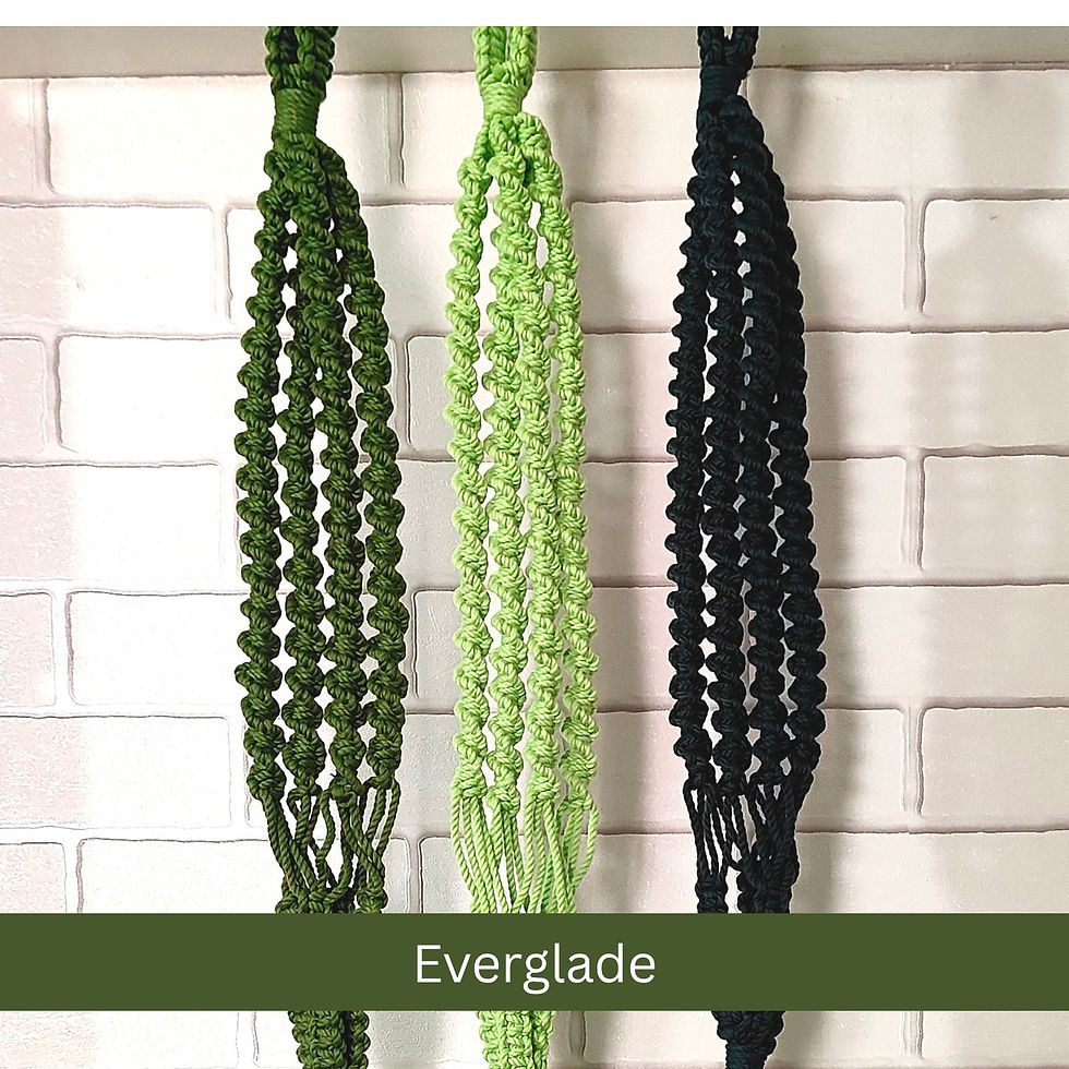 Thumbnail: Aasri Living Everglade Spiral Macrame Plant Hanger Set