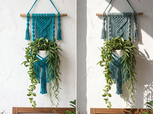 Image showing macrame plant hanger with trailing Hayos in direct and indirect sunlight.