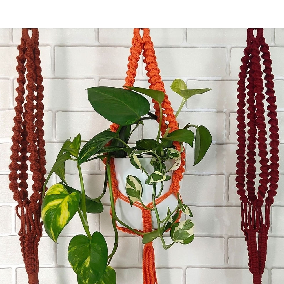 Thumbnail: Aasri Living Terra Harvest Spiral Macrame Plant Hanger Set With Pothos