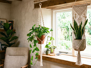 Two artistic macrame plant hangers hanging in a big window area of the living room.