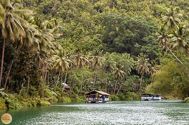 Enjoy a shared Loboc River cruise past emerald tropical banks. Pearl Horizon Travel secures this scenic dining journey on your Bohol countryside private tour.