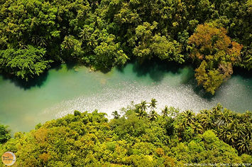 An aerial perspective of the lush green Loboc River in the Philippines. Secure your Bohol countryside private tour package easily with Pearl Horizon Travel.