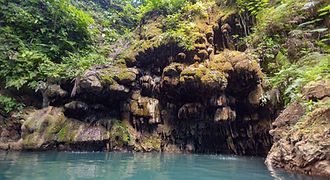 Crystal clear waters of a natural spring pool in Dimiao, Bohol, nestled against moss-covered limestone rock formations in a secluded tropical jungle setting.