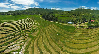 Sweeping aerial view of the emerald green Cadapdapan Rice Terraces in Candijay, Bohol, displaying the island's stunning agricultural heritage and rural beauty.