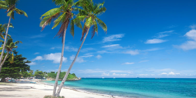 Tall leaning coconut palm trees frame a tranquil white sand beach and clear blue ocean waters under a sunny sky on Bantayan Island, Cebu.