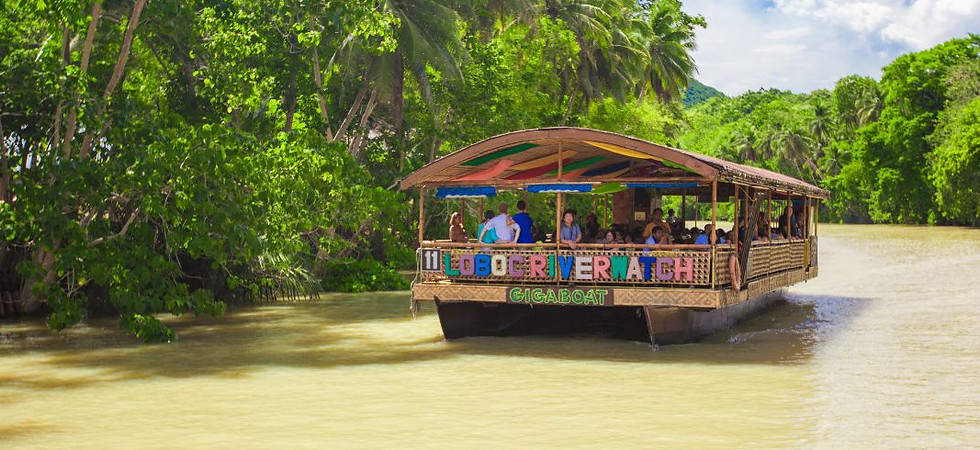 A traditional floating restaurant cruises down the palm-fringed Loboc River in Bohol, showcasing a signature cultural and scenic jungle tour experience.