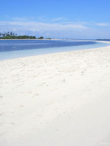 A stunning view of the long, pristine white sandbar at Virgin Island in Bohol, stretching into turquoise waters under a bright tropical sky.