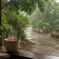 The Smell of the First Rain