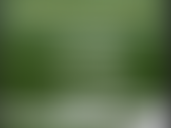 De nouveaux tournois au RCSB