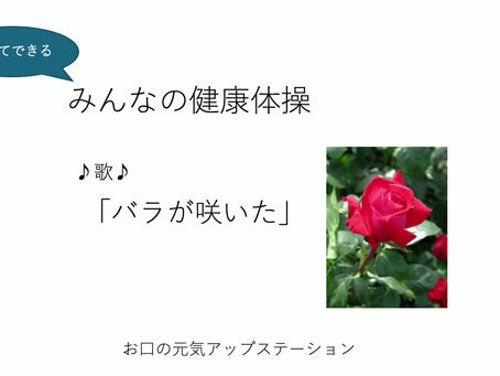 健康体操バラが咲いた