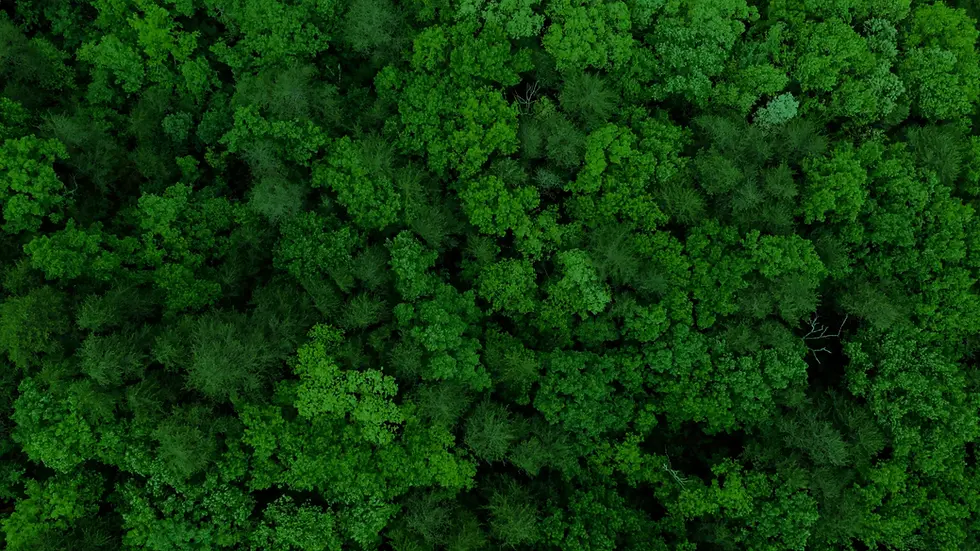 Nexxt-Gen-Green-Background.webp