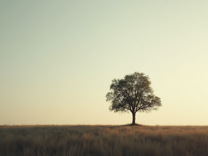 Navigating the Crossroads of Love: When to Consider a Trial Separation or Divorce