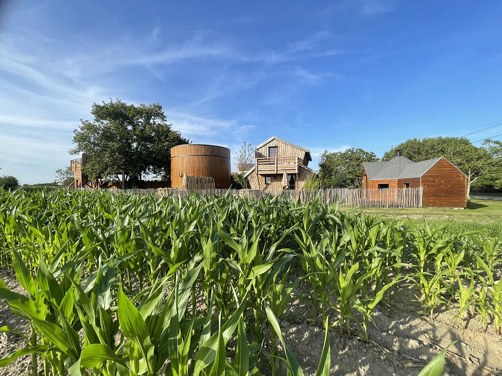 Vue ensemble des cabanes