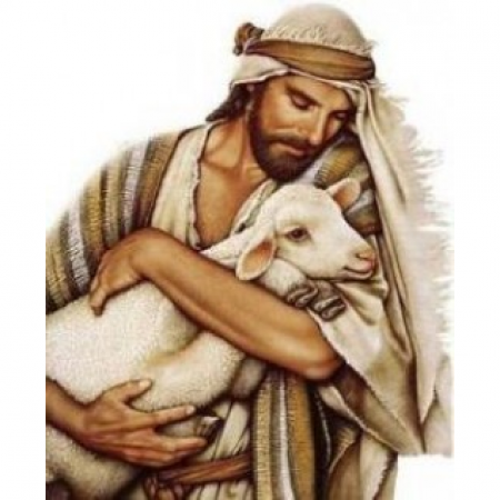 LostSheep-450x450.png