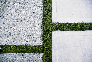 AdobeStock_358137040.jpeg